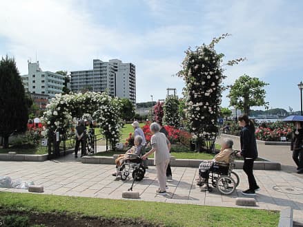  デイサービスセンター　チェリーホーム北久里浜 の求人写真